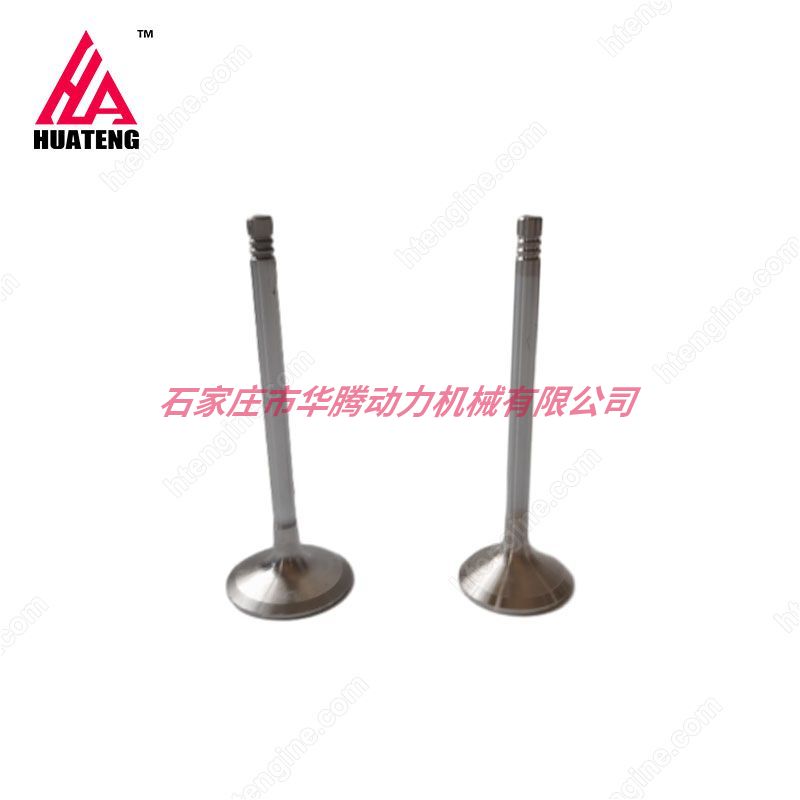 道依茨BFM1015 进气门04226413 04220143排气门04226412 04220142 04267455 道依茨BFM1015 进气门04226413 04220143排气门04226412 04220142 04267455