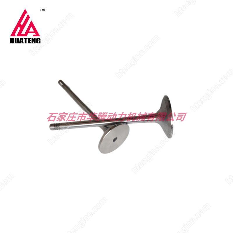 道依茨BFM1015 进气门04226413 04220143排气门04226412 04220142 04267455 道依茨BFM1015 进气门04226413 04220143排气门04226412 04220142 04267455