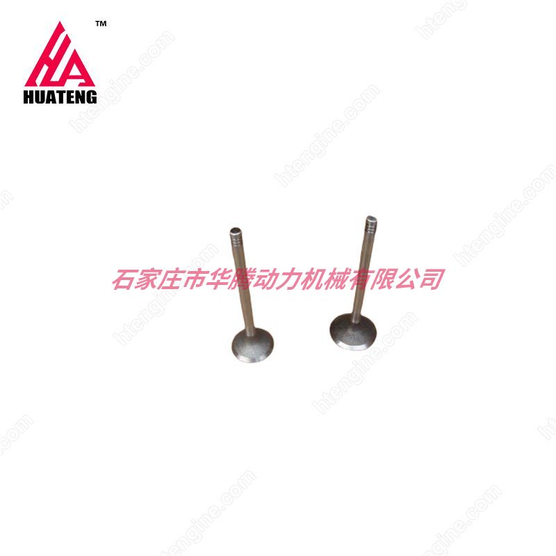 道依茨 BFM1013机型进排气门04255255 04283381 04289248 04255254 04283380 04289247