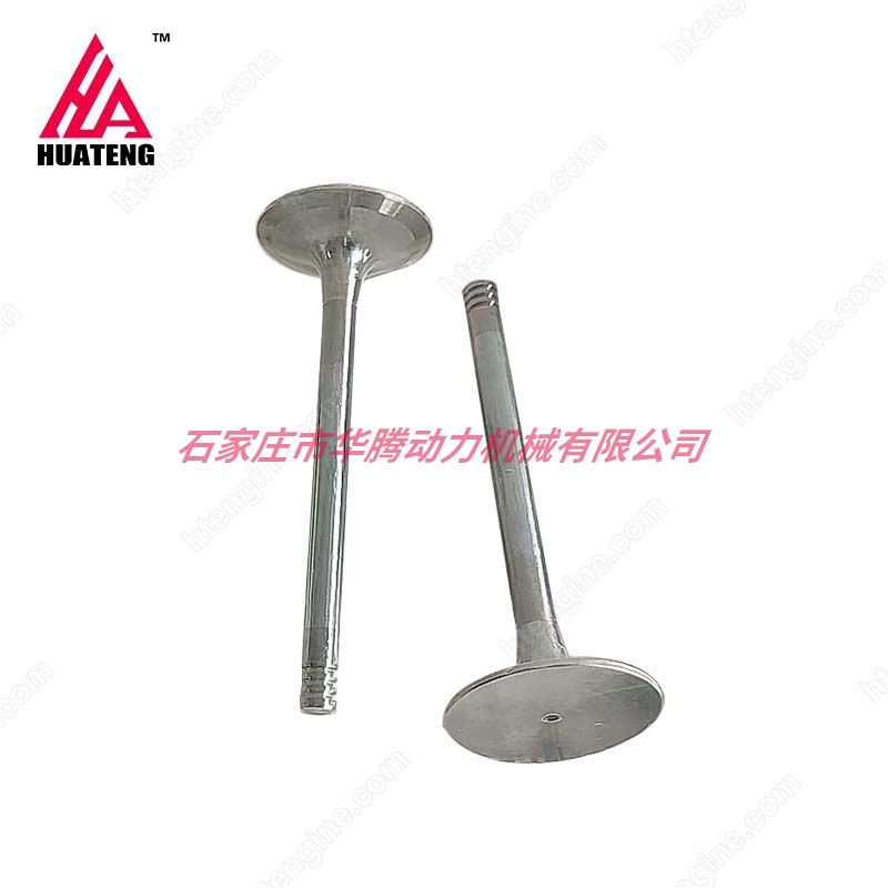 道依茨 TCD3.6 L04 进气门 0412 4018