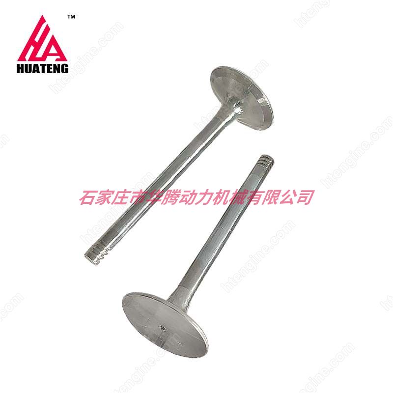 道依茨 TCD3.6 L4 进气门 0412 4019