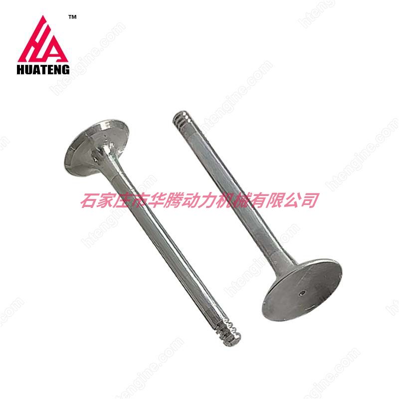 道依茨 TCD3.6 L4 进气门 0412 4019